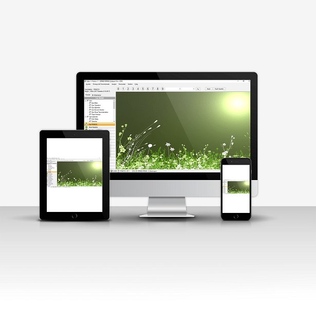 Muhasebe Sistemi - AccountPro