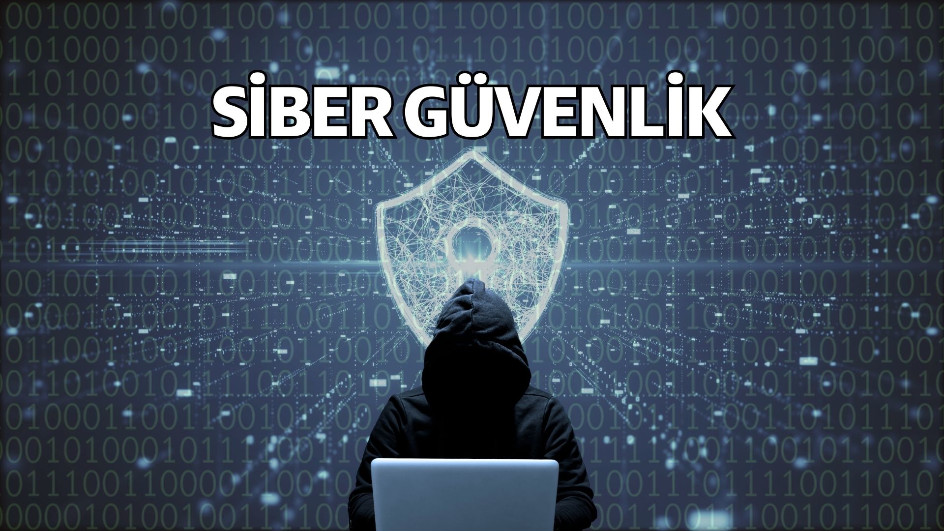 Siber Güvenlik: Web Sitelerini Koruma